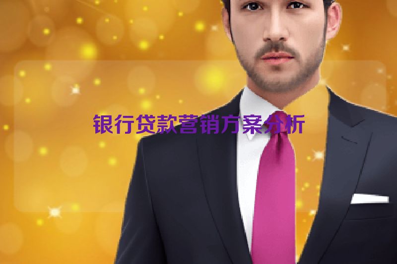 银行贷款营销方案分析