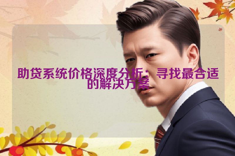 助贷系统价格深度分析：寻找最合适的解决方案