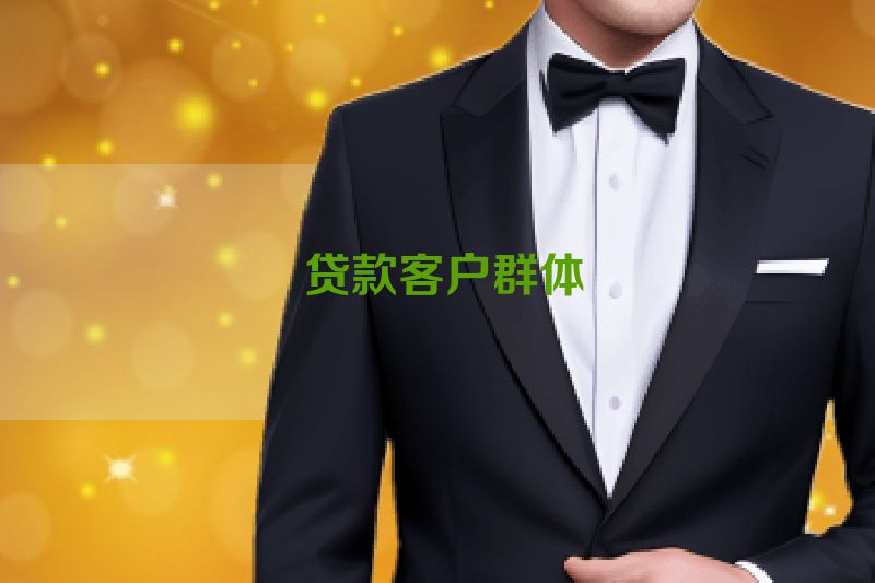  贷款客户群体
