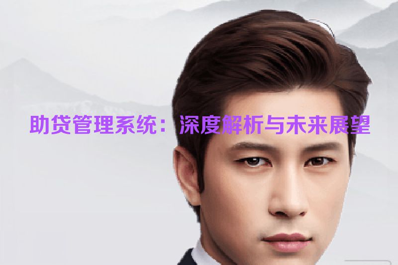 助贷管理系统：深度解析与未来展望