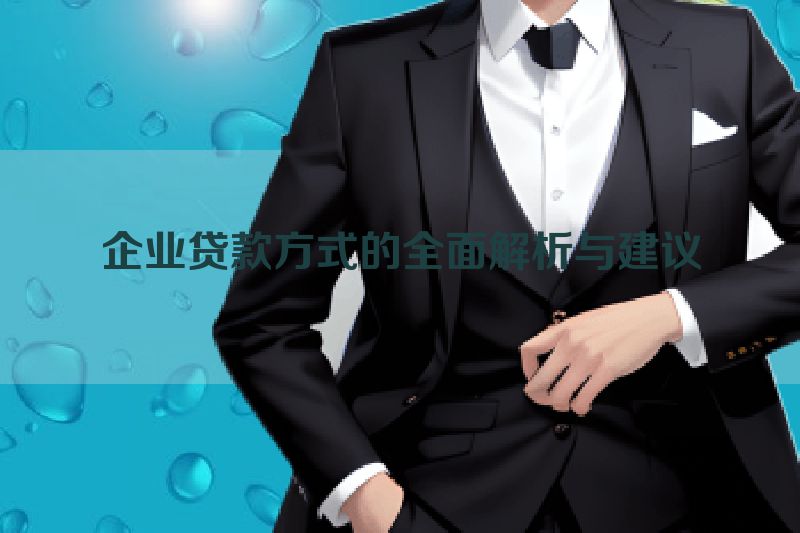 企业贷款方式的全面解析与建议
