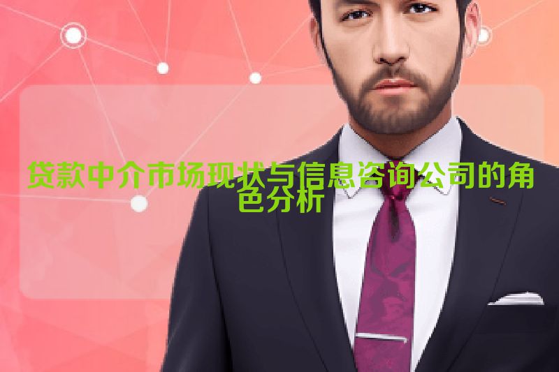 贷款中介市场现状与信息咨询公司的角色分析