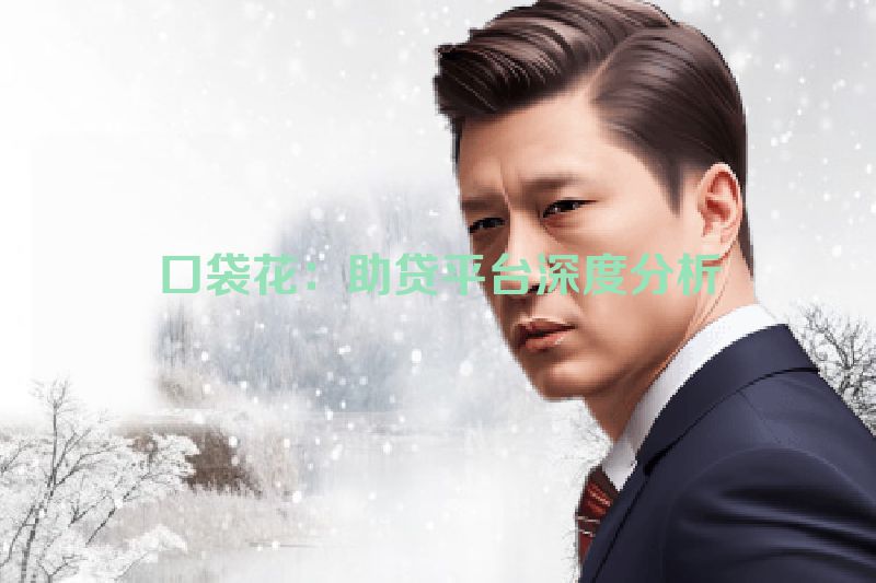 口袋花：助贷平台深度分析