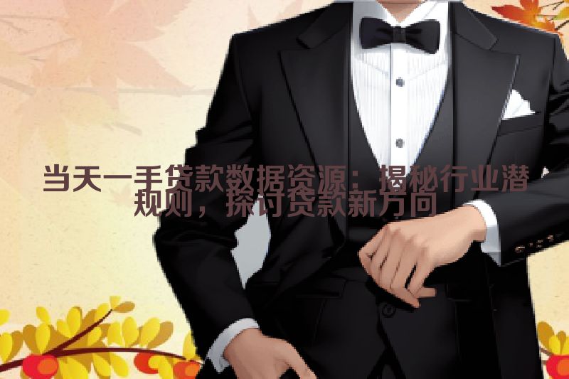 当天一手贷款数据资源：揭秘行业潜规则，探讨贷款新方向